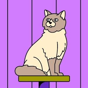 Meet your Posher, Nany